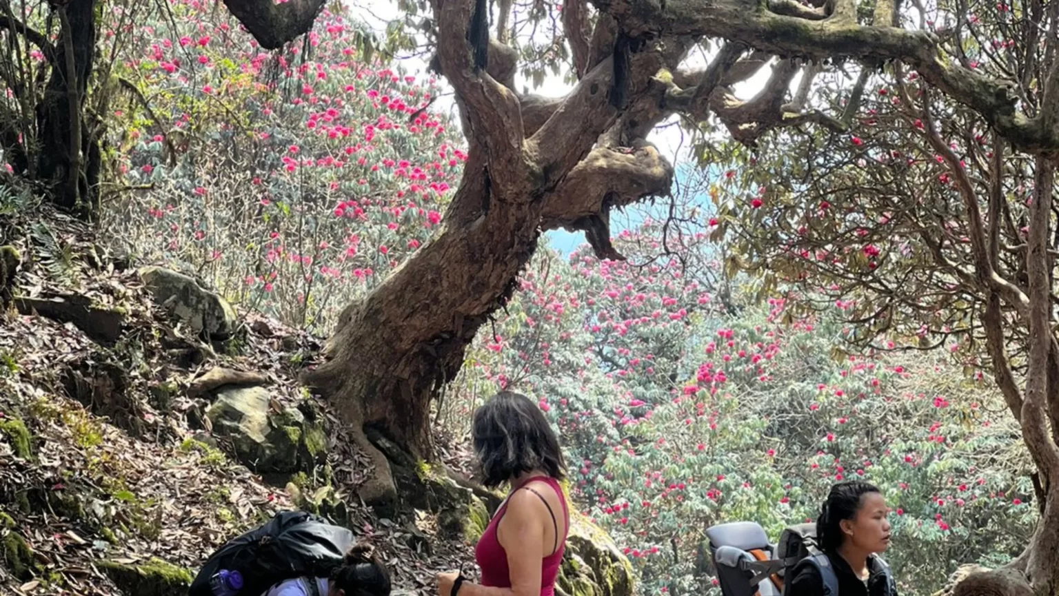 Annapurna-base-camp-trek-in-April